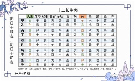 長生子|八字算命基礎——十二長生